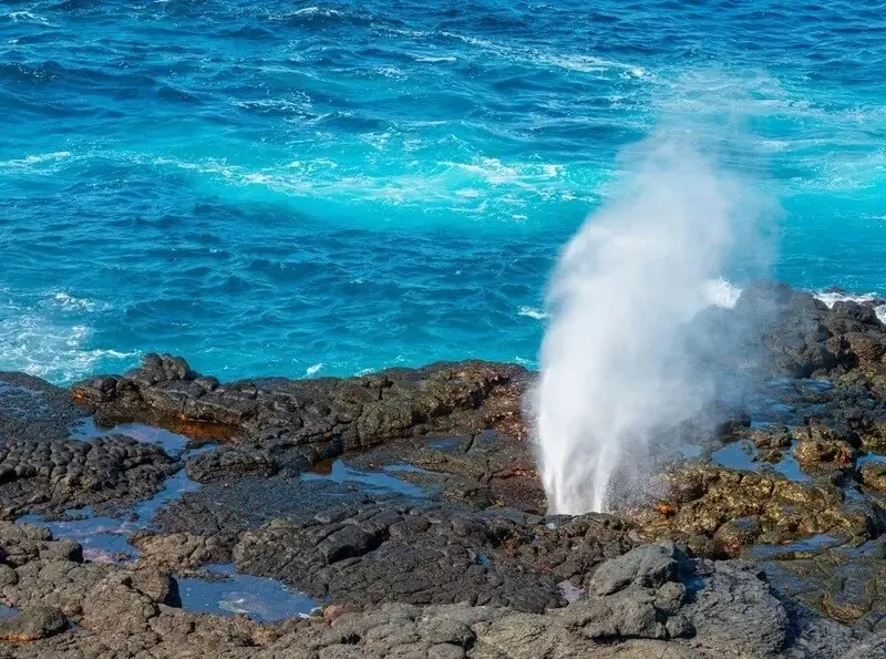 Española Island Wildlife Galápagos | Andean Travel Experience Española Island Wildlife Galápagos | Andean Travel Experience