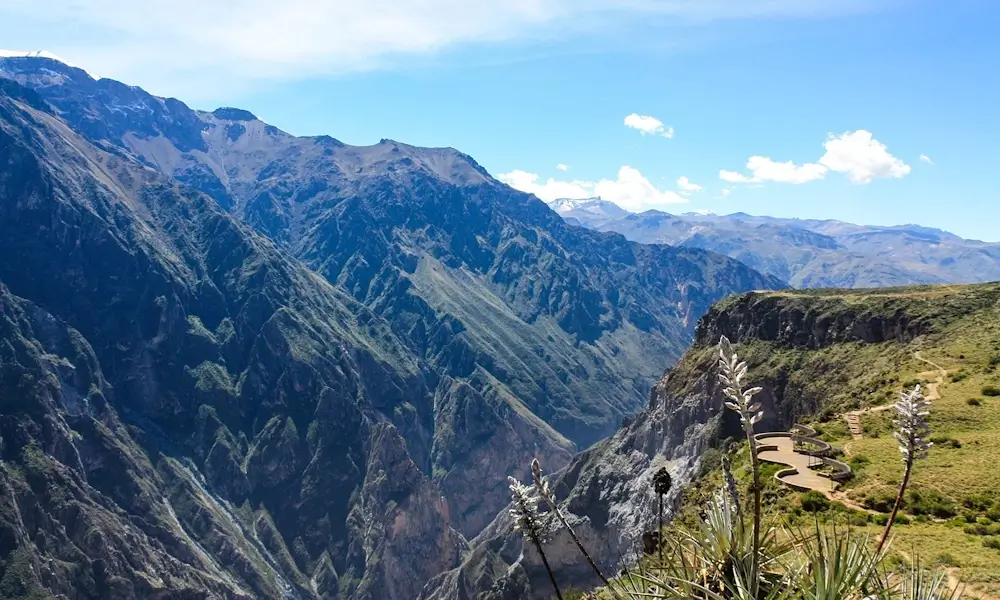 Panoramic view of Colca Canyon in southern Peru with terraced valleys and towering Andean cliffs. | Andean Travel Experience Panoramic view of Colca Canyon in southern Peru with terraced valleys and towering Andean cliffs. | Andean Travel Experience