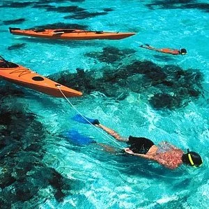 Isabela Island Galápagos Highlights | Andean Travel Experience Isabela Island Galápagos Highlights | Andean Travel Experience