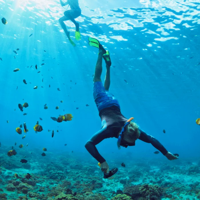 Discover Nature Like Never Before | Andean Travel Experience Discover Nature Like Never Before | Andean Travel Experience