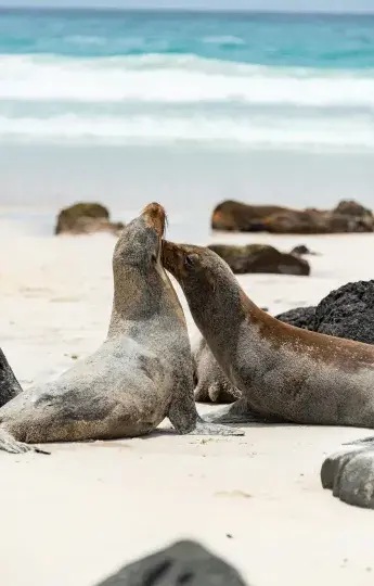 Peru and Ecuador Tours | Andean Travel Experience Peru and Ecuador Tours | Andean Travel Experience