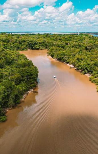Zafiro Amazon Cruise navigating the Peruvian Amazon rainforest | Andean Travel Experience Zafiro Amazon Cruise navigating the Peruvian Amazon rainforest | Andean Travel Experience
