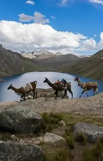 Best Value Experience: Huacachina, Nazca Lines, Colca Canyon, Lake Titicaca & Machu Picchu | Andean Travel Experience Best Value Experience: Huacachina, Nazca Lines, Colca Canyon, Lake Titicaca & Machu Picchu | Andean Travel Experience