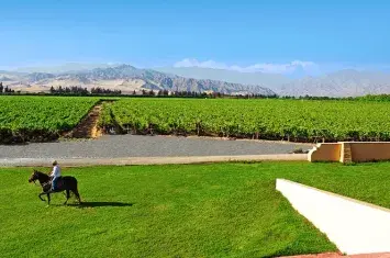 The Pisco Route in Peru: A Cultural Journey Through Vineyards, History & Hidden Flavors | Andean Travel Experience The Pisco Route in Peru: A Cultural Journey Through Vineyards, History & Hidden Flavors | Andean Travel Experience